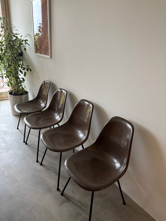 Image 1 of Vitra Eames Herman Miller 4 Fiberglass Bucket Chairs Dsx