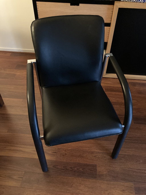 2 Leolux Cimaronne Chairs.