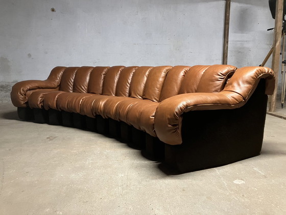 Image 1 of De Sede Ds600 Snake Tatzelwurm, 14 Elements. New condition