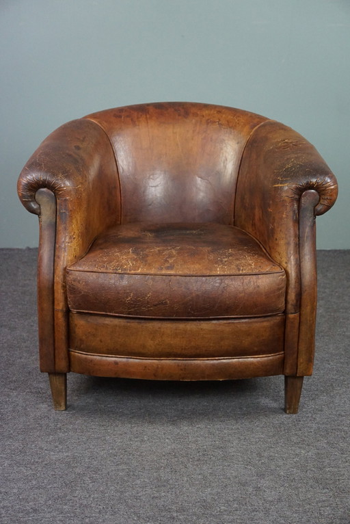 Sheep leather club armchair