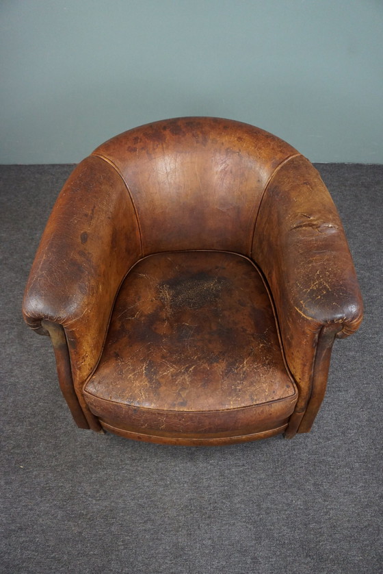 Image 1 of Sheep leather club armchair