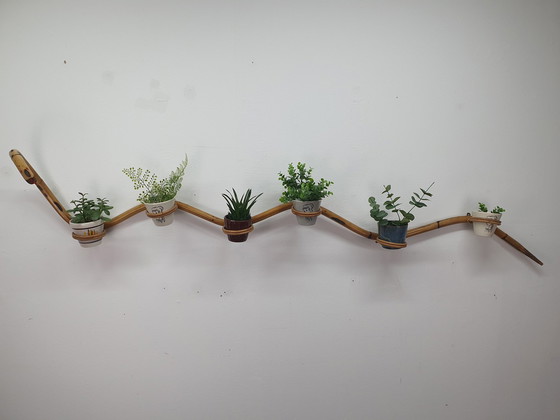 Image 1 of Manguera para plantas de ratán/bambú Soporte para plantas Rohé/Trio Noordwolde