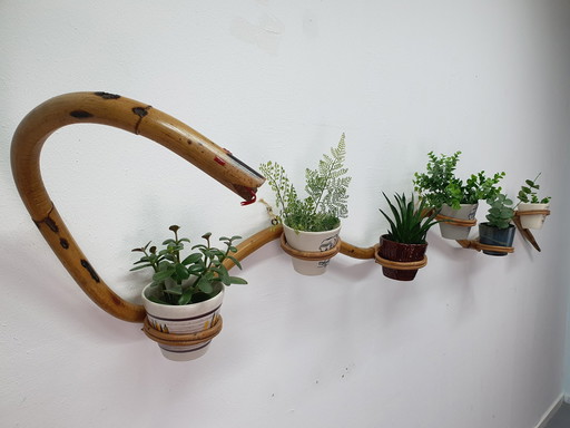 Plant Hose Rattan/Bamboo Plant Holder Rohé/Trio Noordwolde