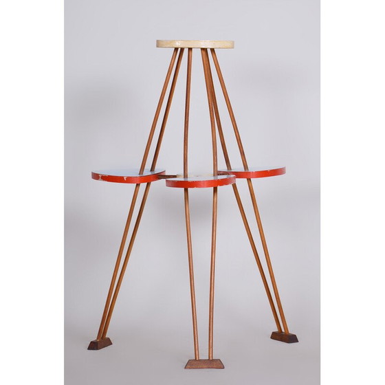 Image 1 of Vintage beechwood and umakart flower stand, Czechia 1950