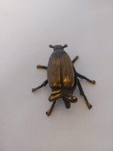 Portagioie in ottone a forma di scarabeo