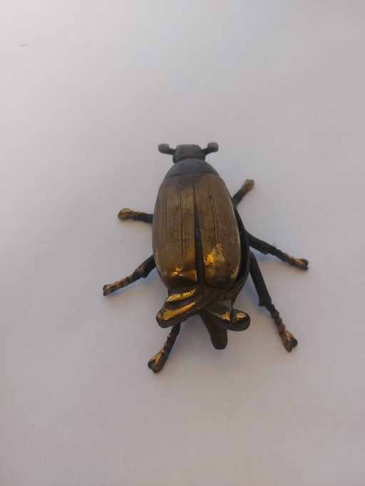 Brass Beetle Jewelry Box