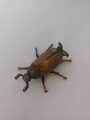 Portagioie in ottone a forma di scarabeo