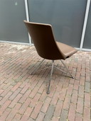 Sedia Bert plantagie Rho in pelle marrone