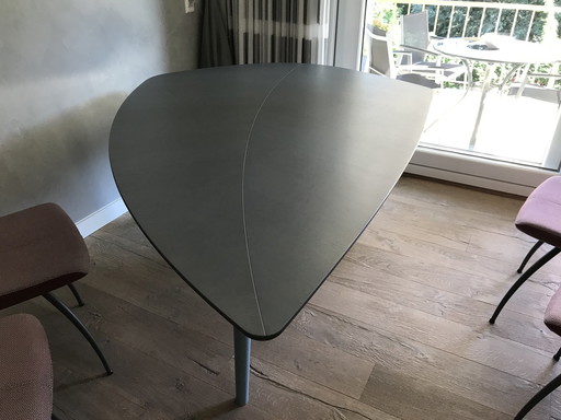 Castelijn Dining Table Leaf Leaf Shape + 4x Armchairs