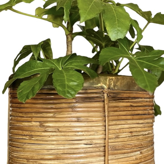 Image 1 of Fioriera italiana d'epoca