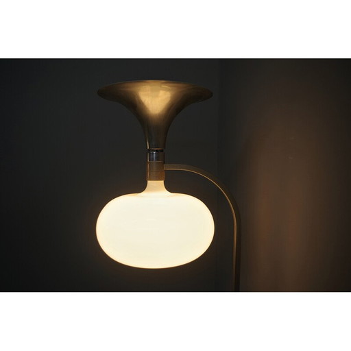 Vintage Sirrah floor lamp in glass and steel by Franco Albini and Franca Helg, 1969