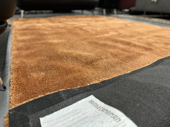 Image 1 of Brink En Campman Rust Rug 200X300