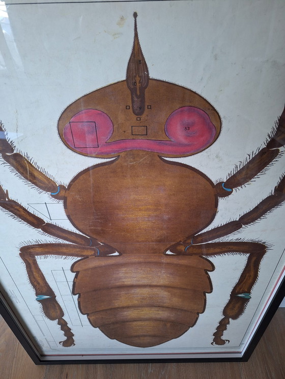 Image 1 of Vintage Soviet School Plate Insect