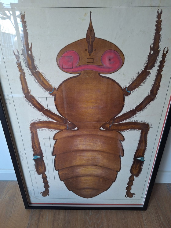 Image 1 of Vintage Soviet School Plate Insect