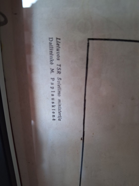 Image 1 of Vintage Soviet School Plate Insect