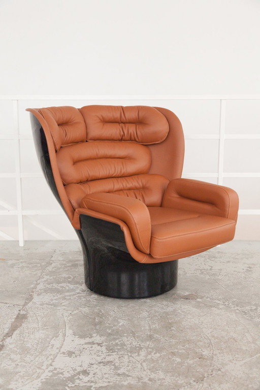 Elda armchair by Joe Colombo