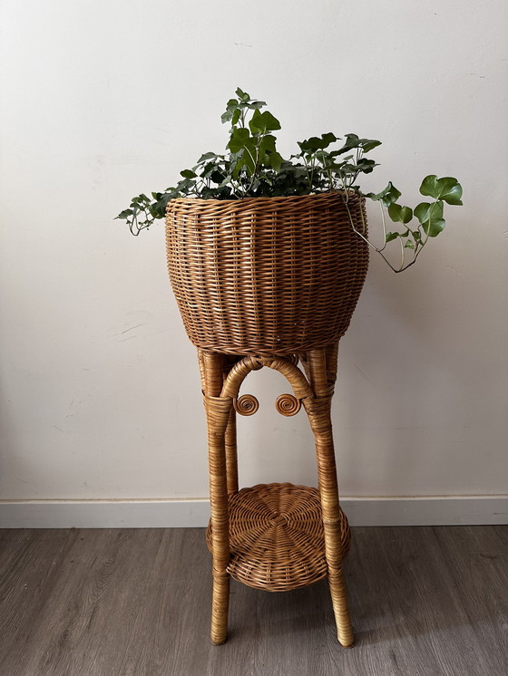 Image 1 of Rattan plant stand