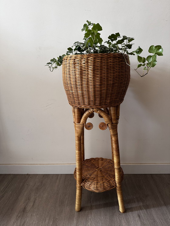 Image 1 of Rattan plant stand