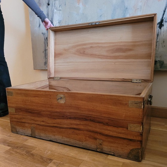 Image 1 of Vintage trunk in camphor wood and brass