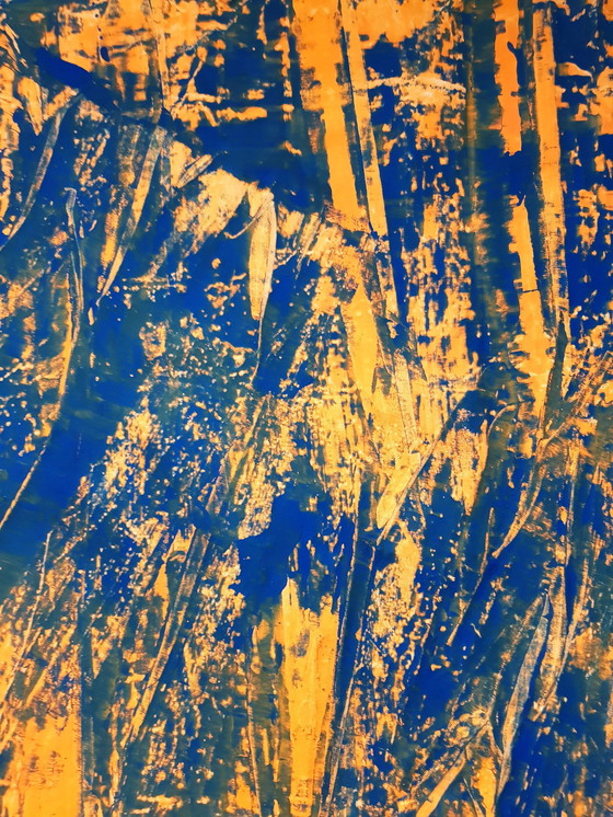 Image 1 of Jürgen Angeler - Pelliccia di tigre