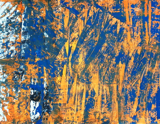 Image 1 of Jürgen Angeler - Pelliccia di tigre