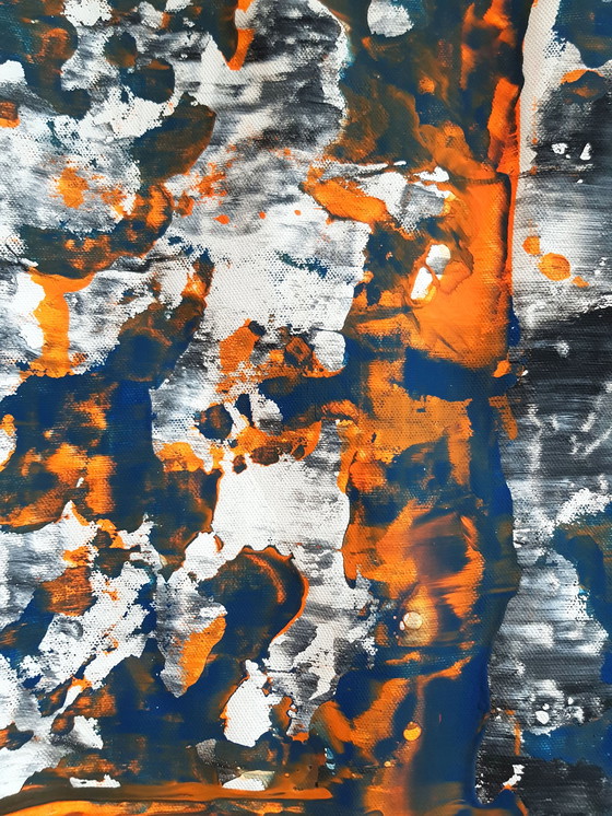 Image 1 of Jürgen Angeler - Pelliccia di tigre