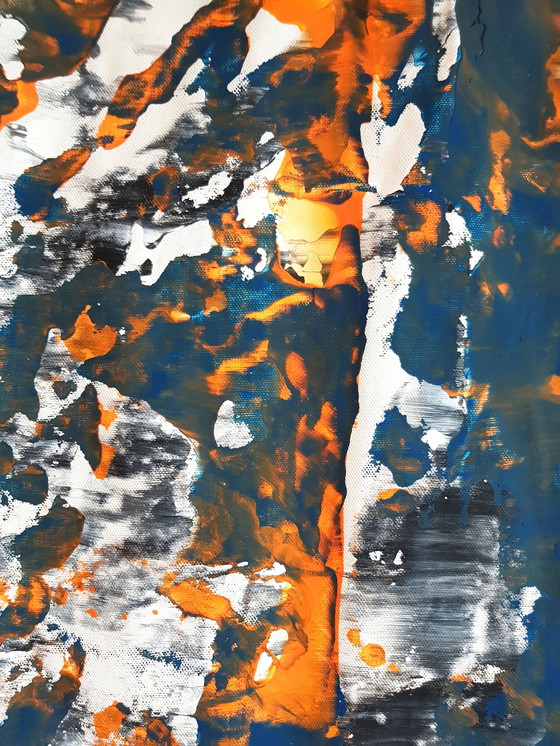 Image 1 of Jürgen Angeler - Pelliccia di tigre