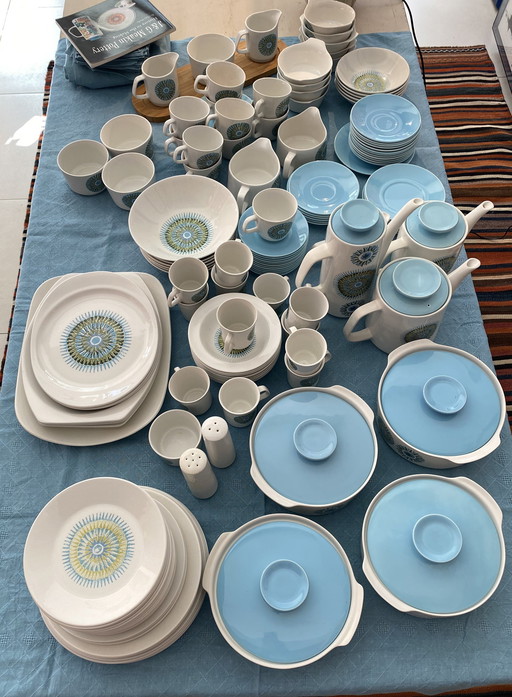 Exceptional J&G Meakin Pottery Dinner Service 1964