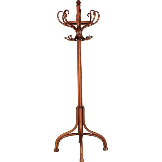 Image 1 of Vintage stained beech coat rack, 1900
