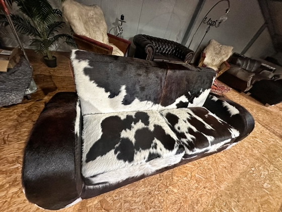 Image 1 of Cowhide sofa couch 2-seater