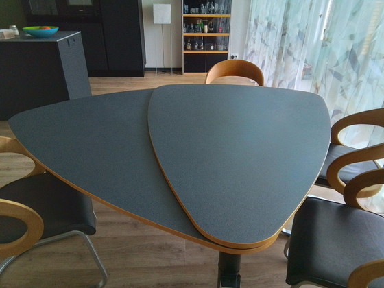 Image 1 of Castelijn butterfly table