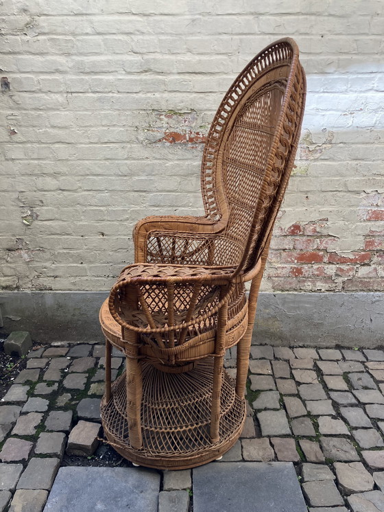 Image 1 of Rattan Peacock Chair