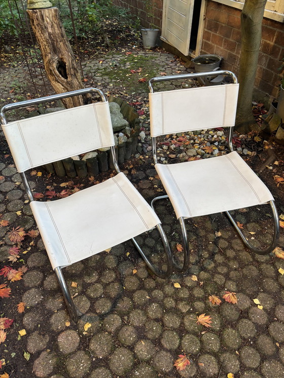 Image 1 of 4x Thonet chairs