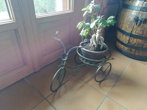 Small Bike Plant Holder