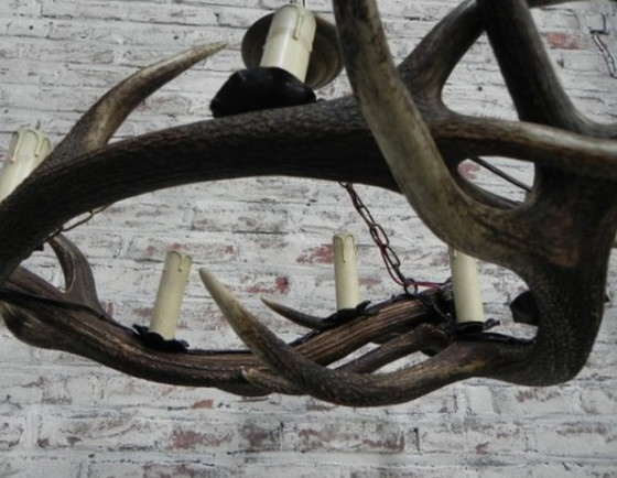 Image 1 of Antler lamp with 3 antlers