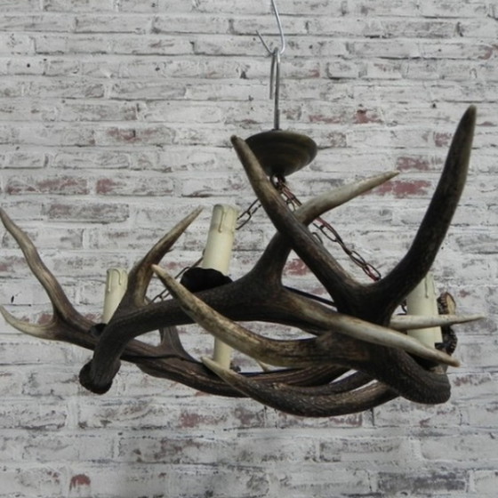 Image 1 of Antler lamp with 3 antlers