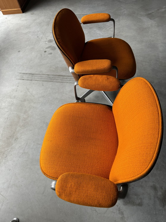 Image 1 of 4x Mim Roma office chairs Ico Parisi