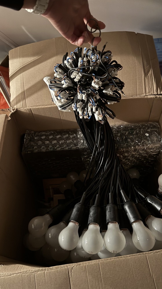 Image 1 of Lámpara de araña Droog Design de 85 lámparas de Rody Graumans