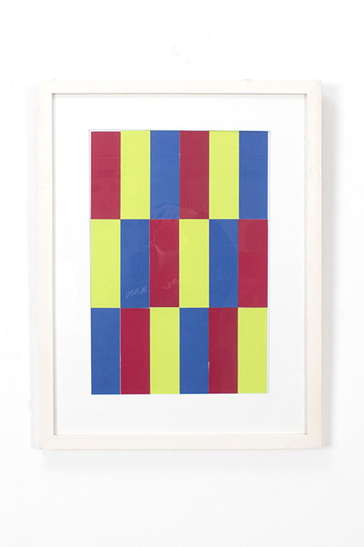 Gijs van den Elshout - Modèle de couleur