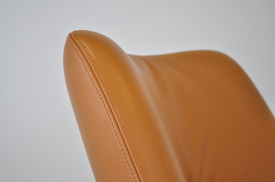 Image 1 of Leolux Pallone armchair