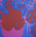 Andy Warhol -Flowers litho