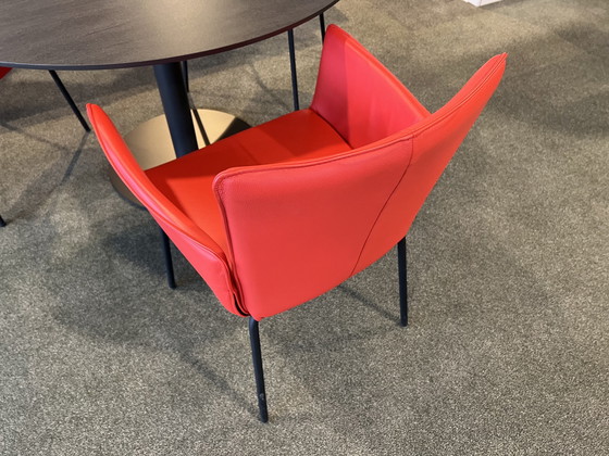 Image 1 of 3x Bree's New World Gaucho Chair red