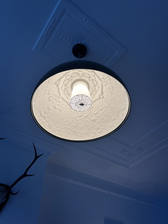 Image 1 of Marcel Wanders / Lampe FLOS 60cm