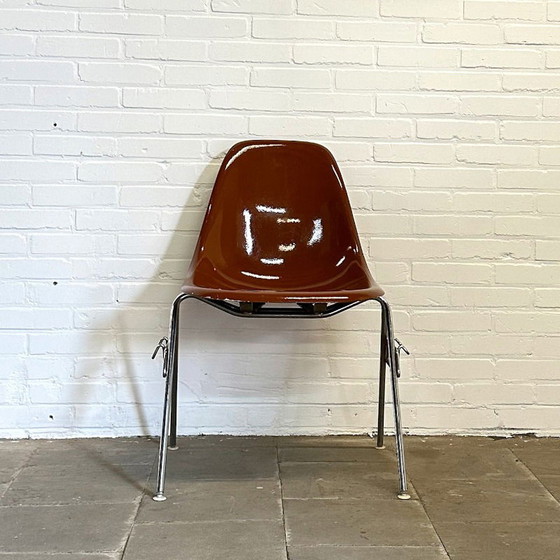 Image 1 of Set of 9 DSS chairs, Charles & Ray Eames for Herman Miller