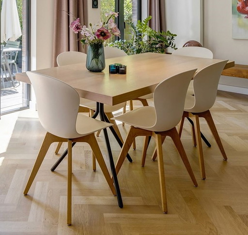 6x BoConcept Adelaide dining chair - oak / white