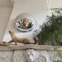 2 x Miroir globe vintage