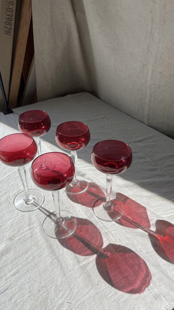 Image 1 of 5x burgundy red fall st lambert glasses