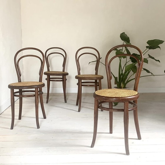 Image 1 of Set of 4 vintage Thonet chairs model 14-1