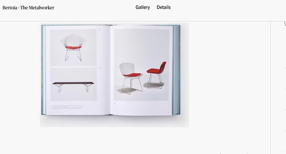 Image 1 of Sedia Diamond vintage di Harry Bertoia per Knoll Inc. / Knoll International, anni '60 