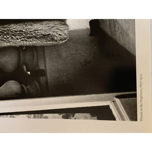 Fotografías antiguas de Helmut Newton realizadas por Philippe Stark